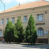 Muzeum Jána Thaina
