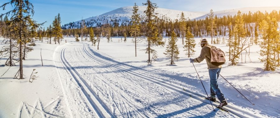 Zima v Česku aneb Nejlepší běžkařské trasy v Jeseníkách a na Šumavě